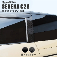 Y Zi C28(2022N12`) Cs[pl S2F