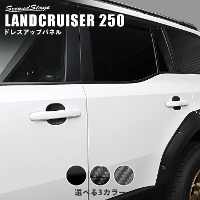 g^ hN[U[250 hAnhveN^[pliJo[j S3F
