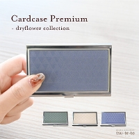 J[hP[X v~A cardcase premium hCt[RNV fB[X  Mtg